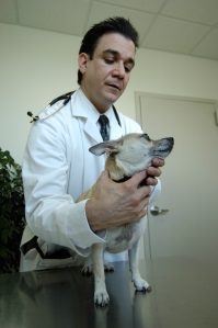 AMC's dermatologist, Dr. Mark Macina, examines a patient
